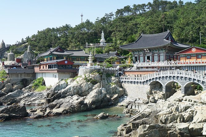 Busan Essential Private Tour With Heaedong Yonggungsa and Gamcheon Village - What to Expect Onboard