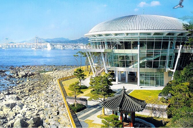 Busan: Fully Customizable Private Tour - Pickup and Hotel Information