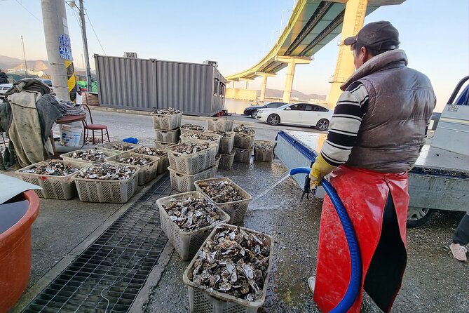 Busan Oyster Village Tour With Oyster Cuisines in Winter - Oyster Cuisine Delights Ahead