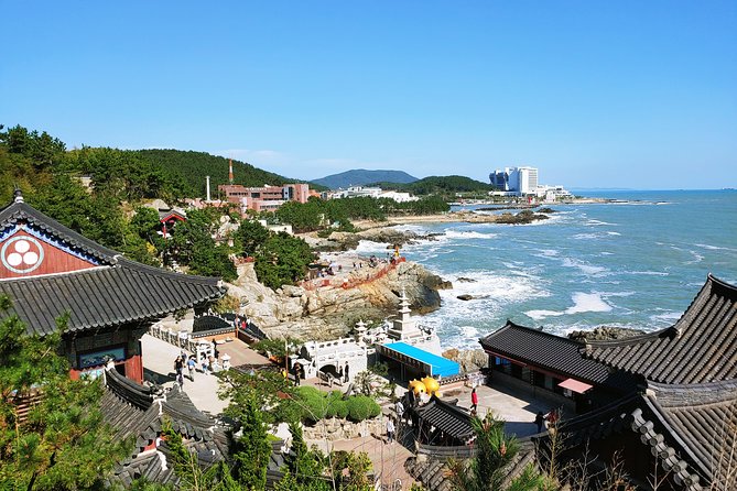 Cruise Layover : Small Group Busan Essential Tour - Tour Inclusions and Benefits