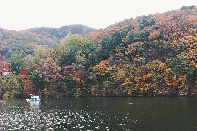 Day Tour to Gangchon Rail Bike Nami Island and Petite France - What to Expect on Tour