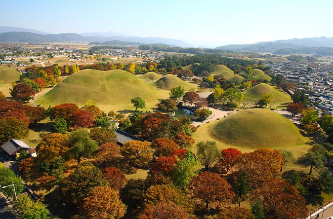 Historic and Natural Beauty- Gyeongju Autumn Foliage Day Tour - Autumn Foliage at Its Best