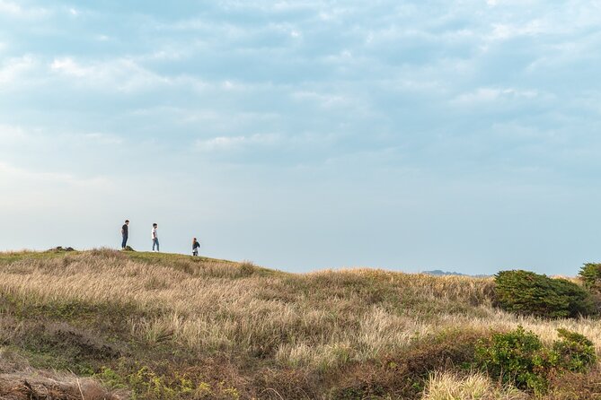 Jeju Island UNESCO Heritage Bus Tour - Important Health and Safety Notes