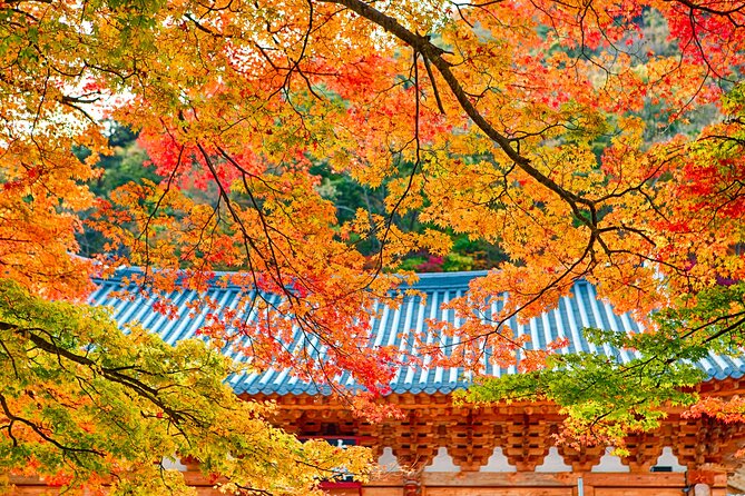 Magnificent Naejangsan National Park Autumn Foliage Tour From Seoul - Meeting and Pickup Information