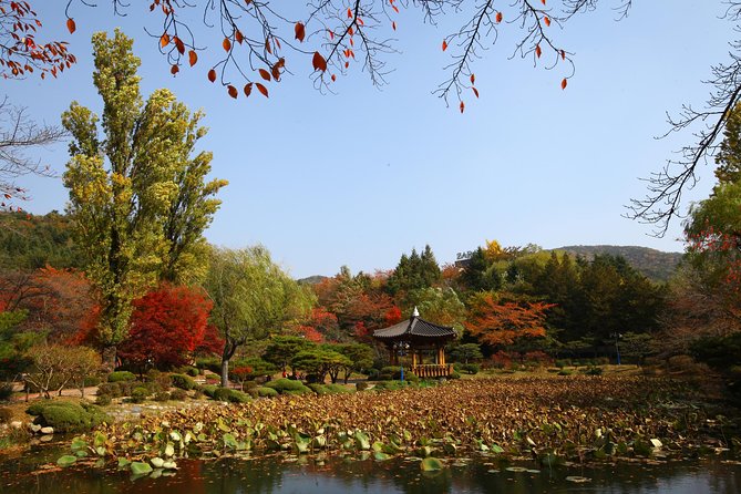 Memorable Autumn Foliage Random Tour (From Busan) - Meeting and Pickup Details