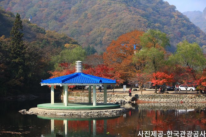 Naejangsan National Park Autumn Foliage Tour From Busan - Meeting and Pickup Details