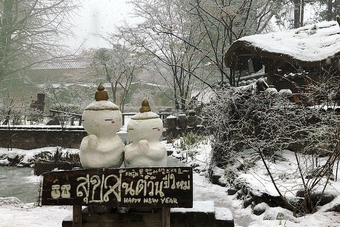 Nami Island and Petite France With the Garden of Morning Calm One Day Tour - Meeting Points and Logistics