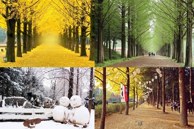 Nami Island & Petite France With Italian Village One-Day Tour - Nami Islands Natural Beauty