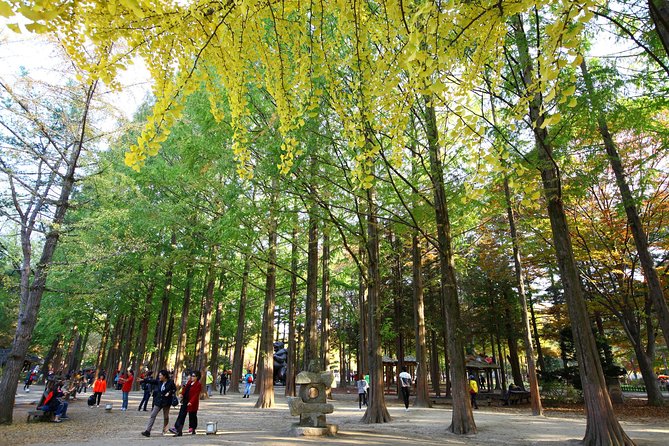 Nami Island & Petite France - Inclusions and Exemptions