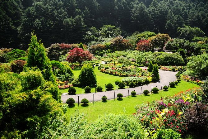 Nami Island With Garden of Morning Calm Trip - What to Expect on Tour