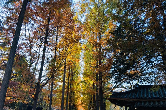 Nami Island+Alpaca+Gapyeong Rail Bike+Garden of Morning Calm - Scenic Gapyeong Rail Bike Ride