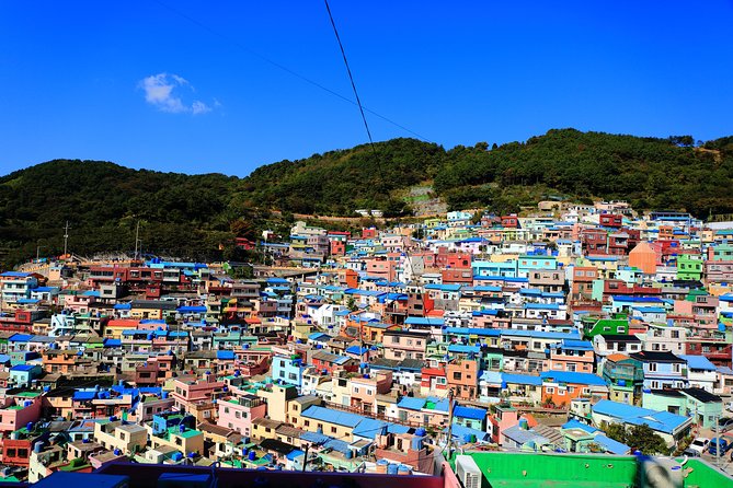 One Day Private Busan Tour With Local Tour Guide - Convenient Travel Arrangements