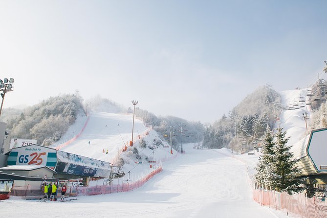 Private 1:1 Ski Lesson Near Seoul, South Korea - Whats Included in the Package