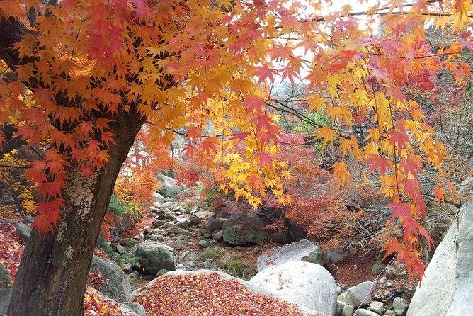 Private Hiking to Bukhansan & Korean Style Spa(Include Lunch) - Savoring Local Korean Cuisine