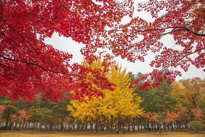 (Private Tour) Nami Island + Railbike + Garden of Morning Calm - Tour Highlights and Inclusions