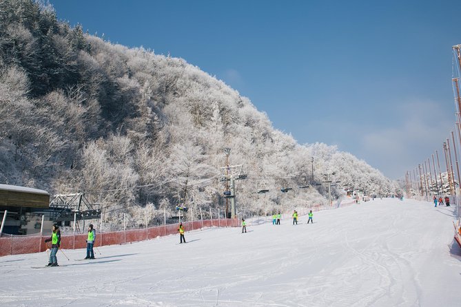 [Private Tour] Nami Island & Snow Viewing and Snow Sled (More Members Less Cost) - Tour Inclusions