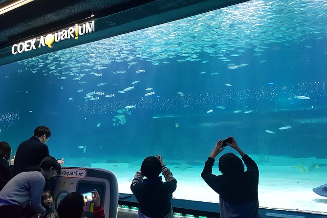 Afternoon Coex Aquarium, Han River Cruise Tour - What to Bring and Prepare