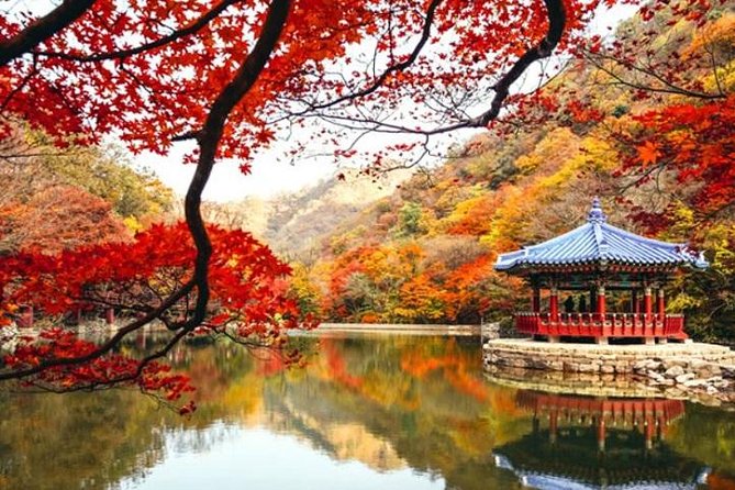 Autumn 10 Days Jeonju&Mt.Naejangsan&Mt.Seorak&Mungyeong&Jeju&Busan on Early Nov - Pickup and Tour Logistics