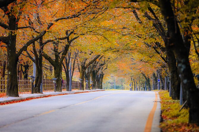 Breathtaking Autumn at Seoraksan National Park - Exploring the Parks Hidden Gems