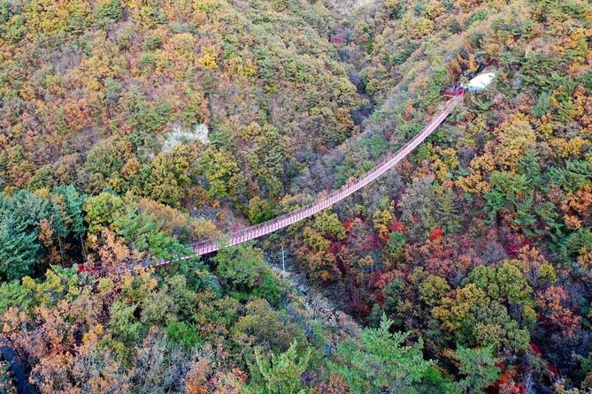 Full Day Private Tour DMZ (The 3rd Tunnel) & Suspension Bridge - Important Tour Details