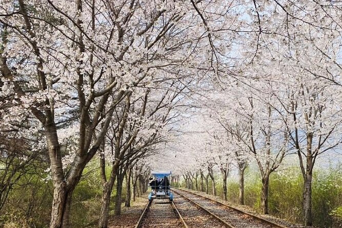 Full-Day Private Tour to Alpaca World/Nami Island With Tickets - Accessibility and Health Requirements