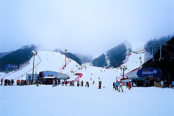 Gangchon Elysian Ski Day Trip From Seoul - Ski Resort Activities Available