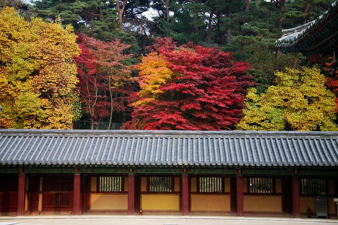 Historic and Natural Beauty- Gyeongju Autumn Foliage Day Tour - Scenic Drive Through Gyeongju