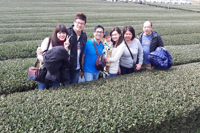 Jeju Island Private Taxi Tour in O`sulloc & Innisfree & Iho Beach - Review and Rating Summary