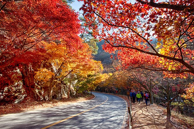 Magnificent Naejangsan National Park Autumn Foliage Tour From Seoul - Autumn Foliage Tour Itinerary