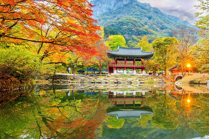 Naejangsan National Park Autumn Foliage Tour From Busan - Accessibility and Restrictions