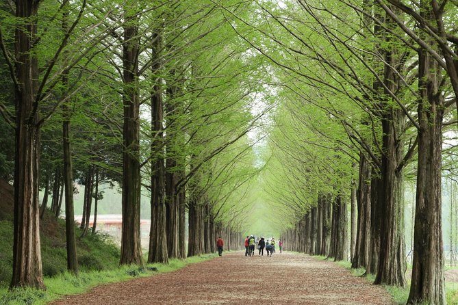 Nami Island & Petite France With Italian Village One-Day Tour - Exploring Petite France Village