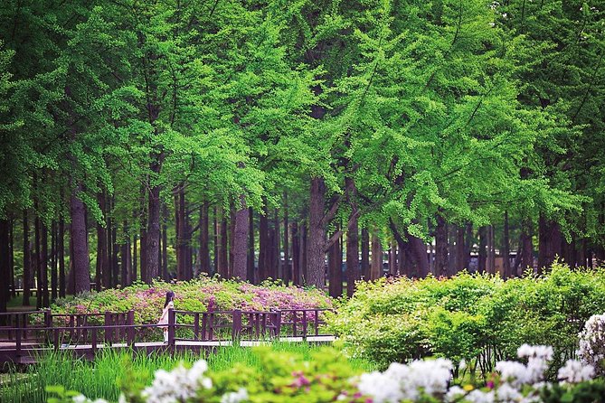 Nami Island With Garden of Morning Calm Trip - Packing Essentials and Tips