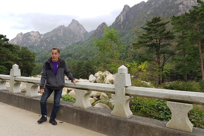 One-Day Tour for Stunning Mt.Seoraksan From Seoul - Tour Logistics and Essentials