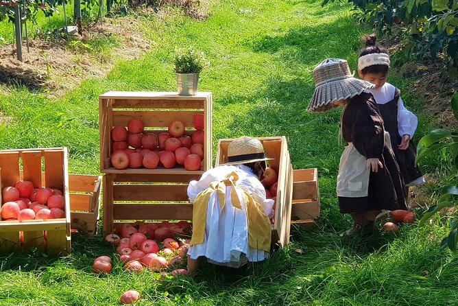 Pocheon Seasonal Fruit Picking & Exploration Tour From Seoul - Convenient Transportation Options