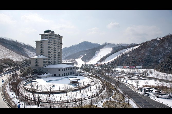 Private 1:1 Ski Lesson Near Seoul, South Korea - Reviews and Ratings From Travelers