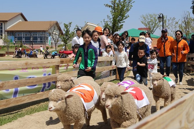 Private Full Day Tour Anseong Farm Land With Gwangmyeong Cave - Cancellation and Refund Policy