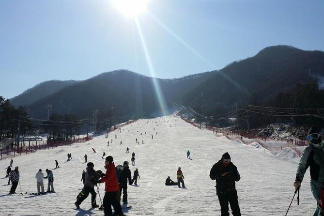 Seoul Ski Tour at Jisan Forest Resort - Getting to Jisan Forest Resort