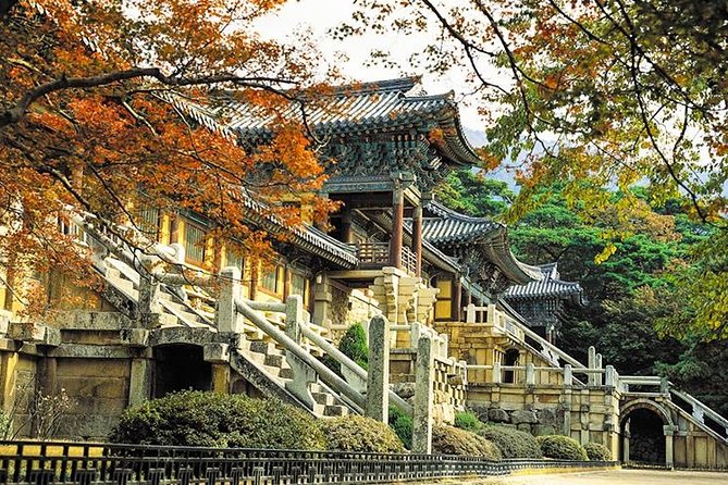 South Korea Highlights 7D/6N - Exploring Bustling City Landscapes