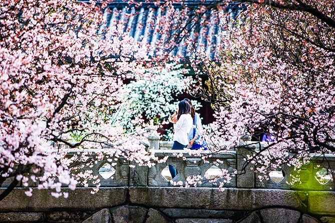 Spring 6 Days Cherry Blossom Jeju&Busan&Jinhae&Gyeongju on 31 Mar to 10 Apr - Cancellation and Refund Policy