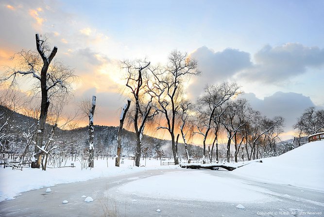 Winter Fun at Vivaldi Ski Resort With Romantic Winter Scenery at Nami Island - Meeting and Pickup Points