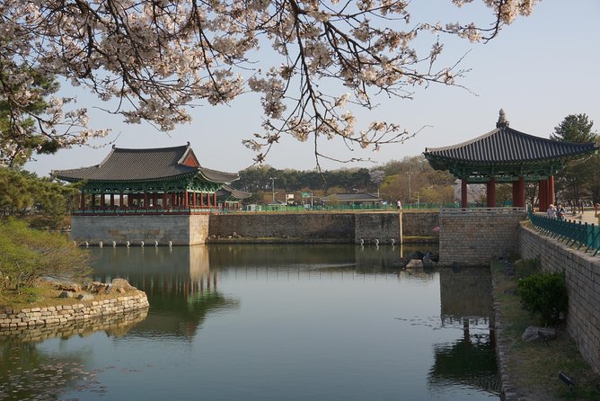 3-Days 2-Nights Gyeongju UNESCO Sites & Busan City [Private Tour From Seoul] - Reviews and Ratings From Travelers