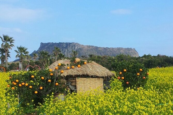 Beautiful Jeju Island Private UNESCO Day Tour - UNESCO World Heritage Sites Tour