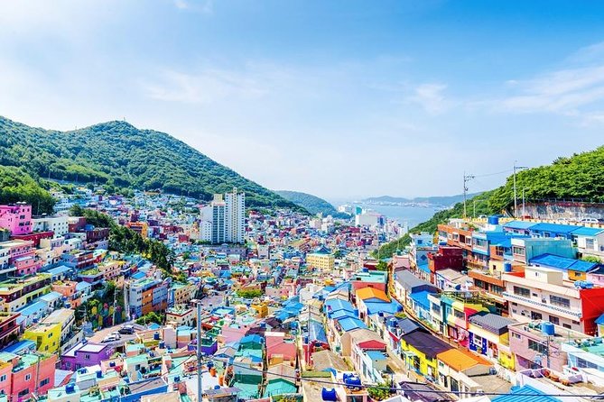 Busan: Fully Customizable Private Tour - Tour Pricing and Booking Options