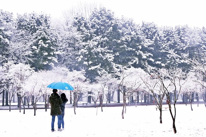 Elysian Gangchon Ski Resort With Nami Island Day Tour From Seoul - What to Expect on Tour