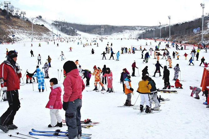 Enjoy Busan Winter at Eden Valley Resort One Day Tour - Essential Information and Notes