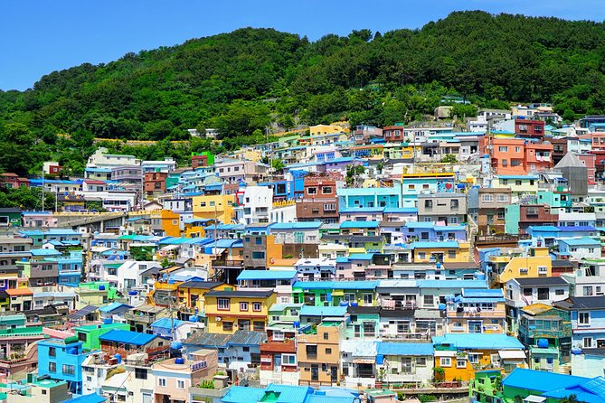 Full-Day Customizable Private Busan Highlight Tour - Customizing Your Busan Adventure