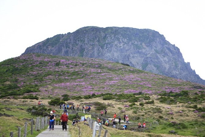 Full-Day Customizable Private Essential Jeju Island Tour for South Course - Tour Schedule and Timeline