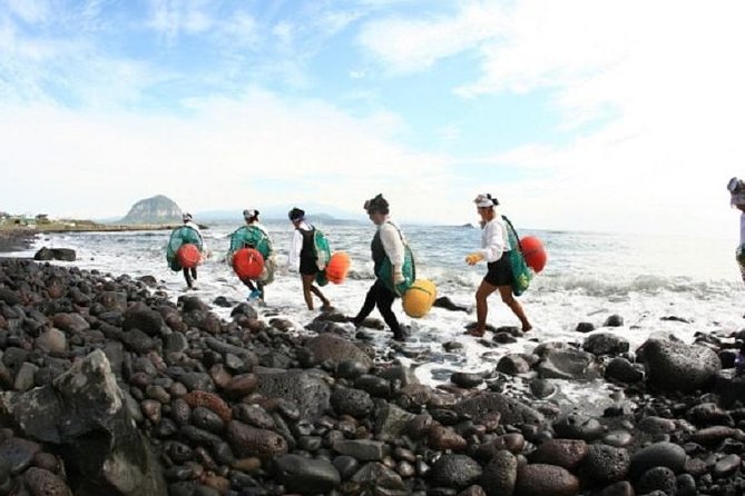 Full Day Jeju Island Private Tour for East Course With Korean Black Pork BBQ - Meeting and Pickup Arrangements