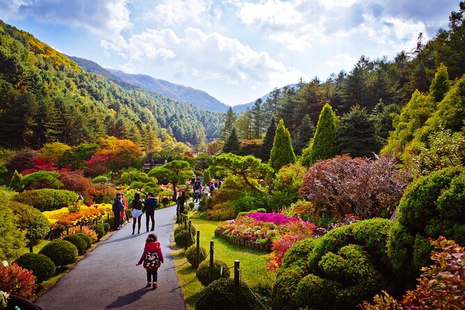 Full Day Private Tour Nami Island, Garden & Petite France - Pricing and Booking Details