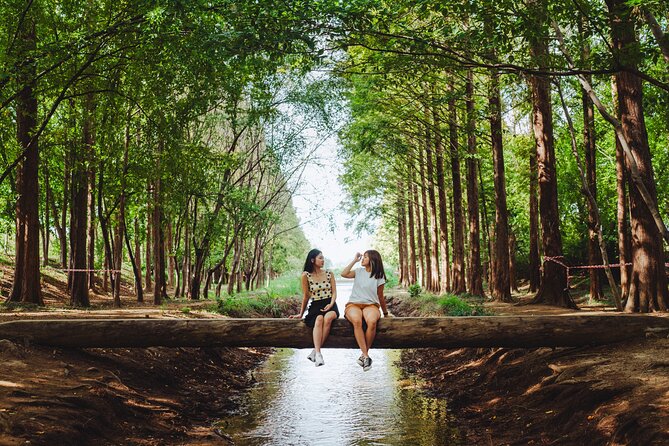 Gyeongju Small Group Full Day Photo Tour (Max 7) - Accessibility and Special Needs